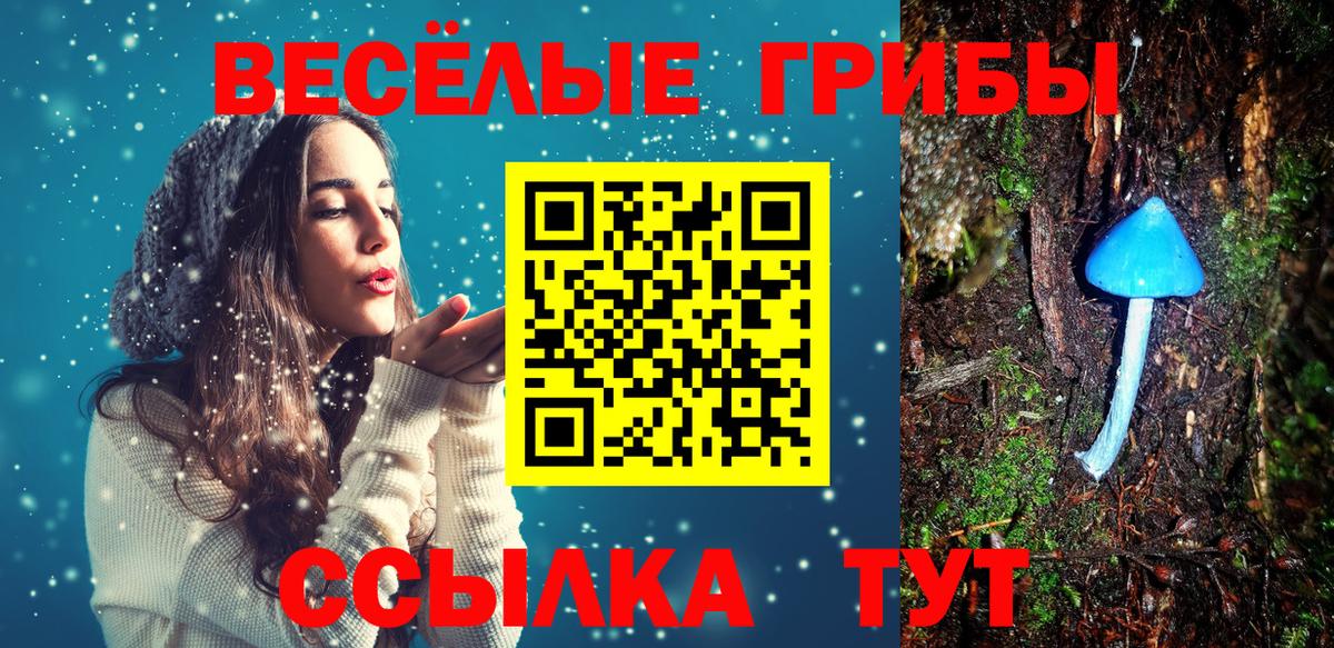 Псилоцибиновые грибы Psilocybine cubensis  Вход с VPN  Псилоцибиновые грибы Psilocybine cubensis  Керчь 