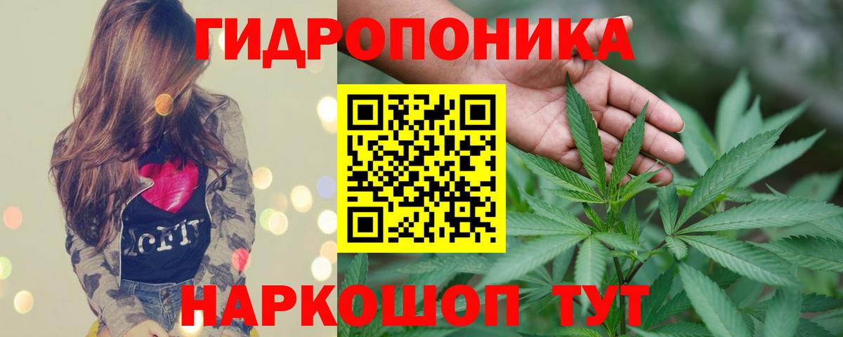 Канабис Amnesia  Вход с VPN  Каннабис тримм  Керчь  Каннабис гибрид 
